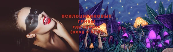 дживик Арсеньев