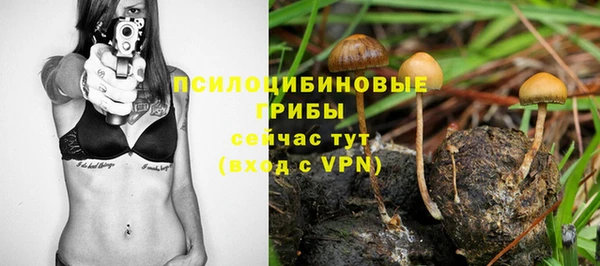 дживик Арсеньев