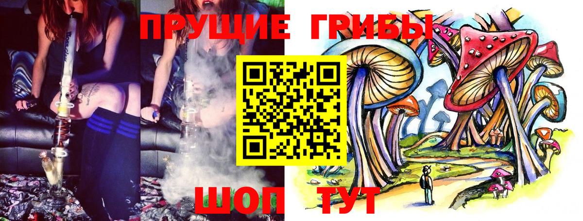Псилоцибиновые грибы Psilocybine cubensis Печора
