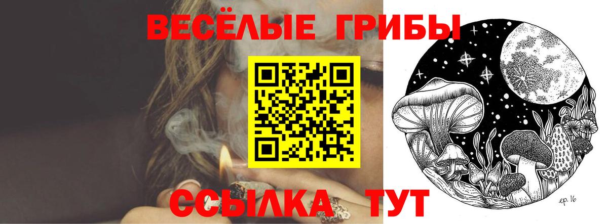 Печора  Галлюциногенные грибы ЛСД  Вход с VPN 